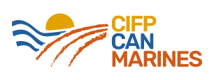 Centres Integrants de Formació Professional (CIFP)